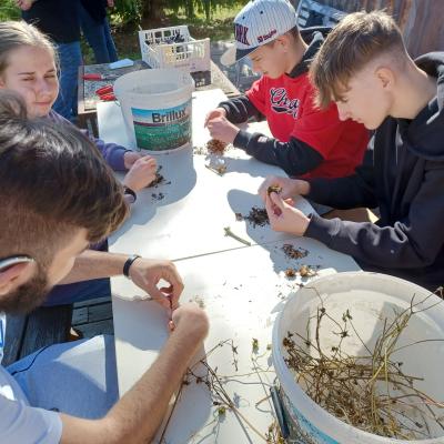 Gartenbauworkshop - IQ Ausbildungszentrum