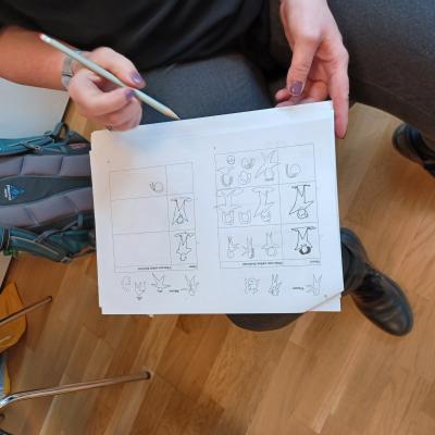 Workshop Einfache Sprache Und Visualisierung 8