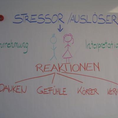 Photo30